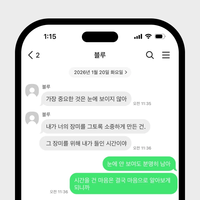 화이트 배경에 회색과 초록색 아이메세지 스타일 말풍선이 적용된 카카오톡 테마