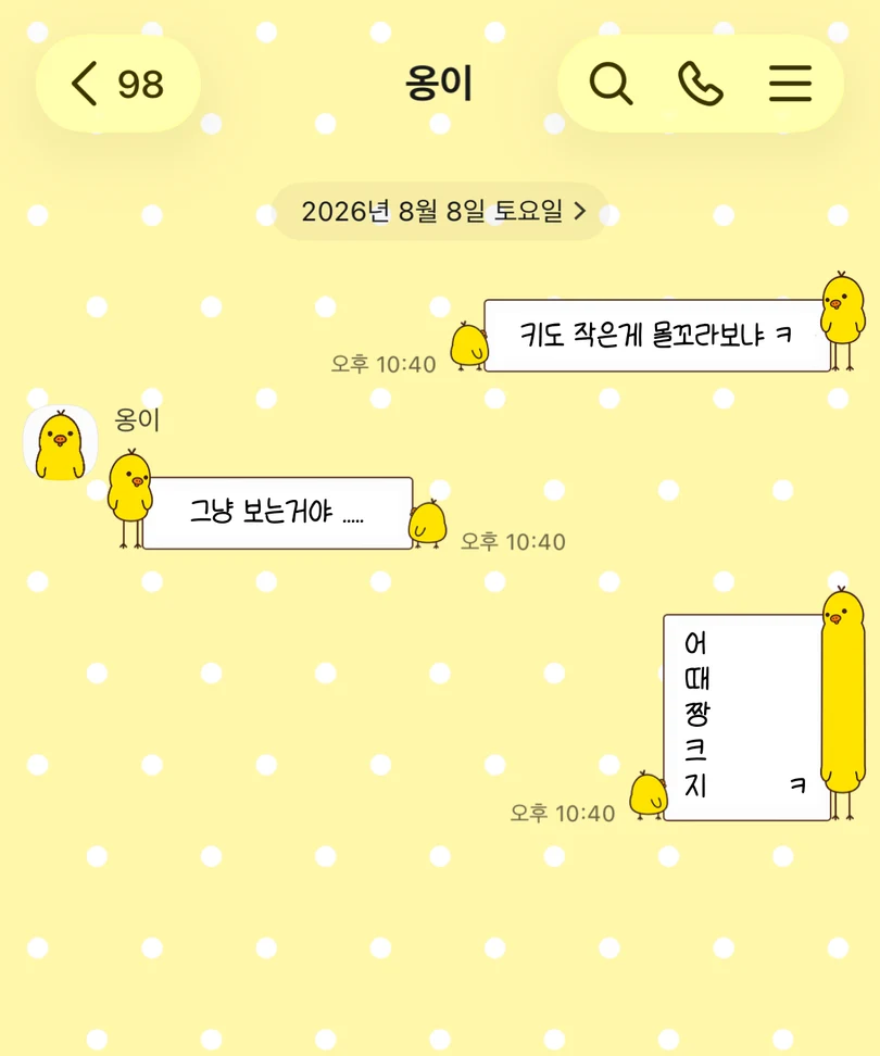노란색 도트 배경에 크고 작은 키이로이토리 캐릭터가 적용된 카카오톡 대화 화면